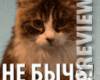 <b>Название: </b>0005879_n, <b>Добавил:<b> makssof<br>Размеры: 128x128, 22.7 Кб